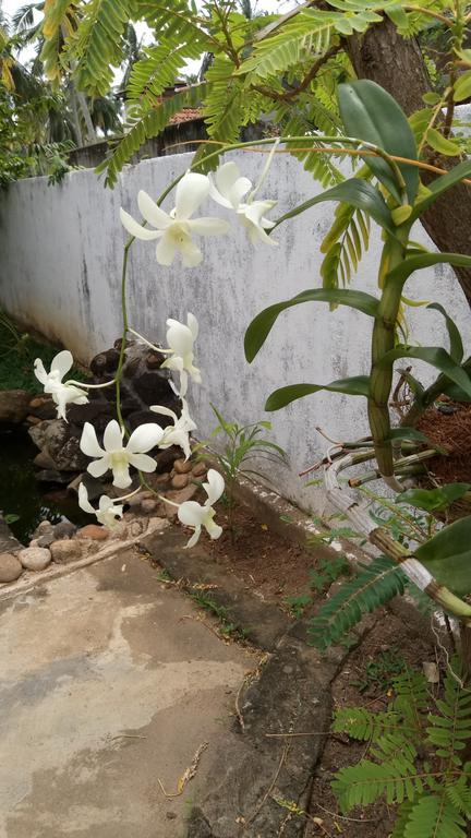 Leisure In Galle Exterior foto